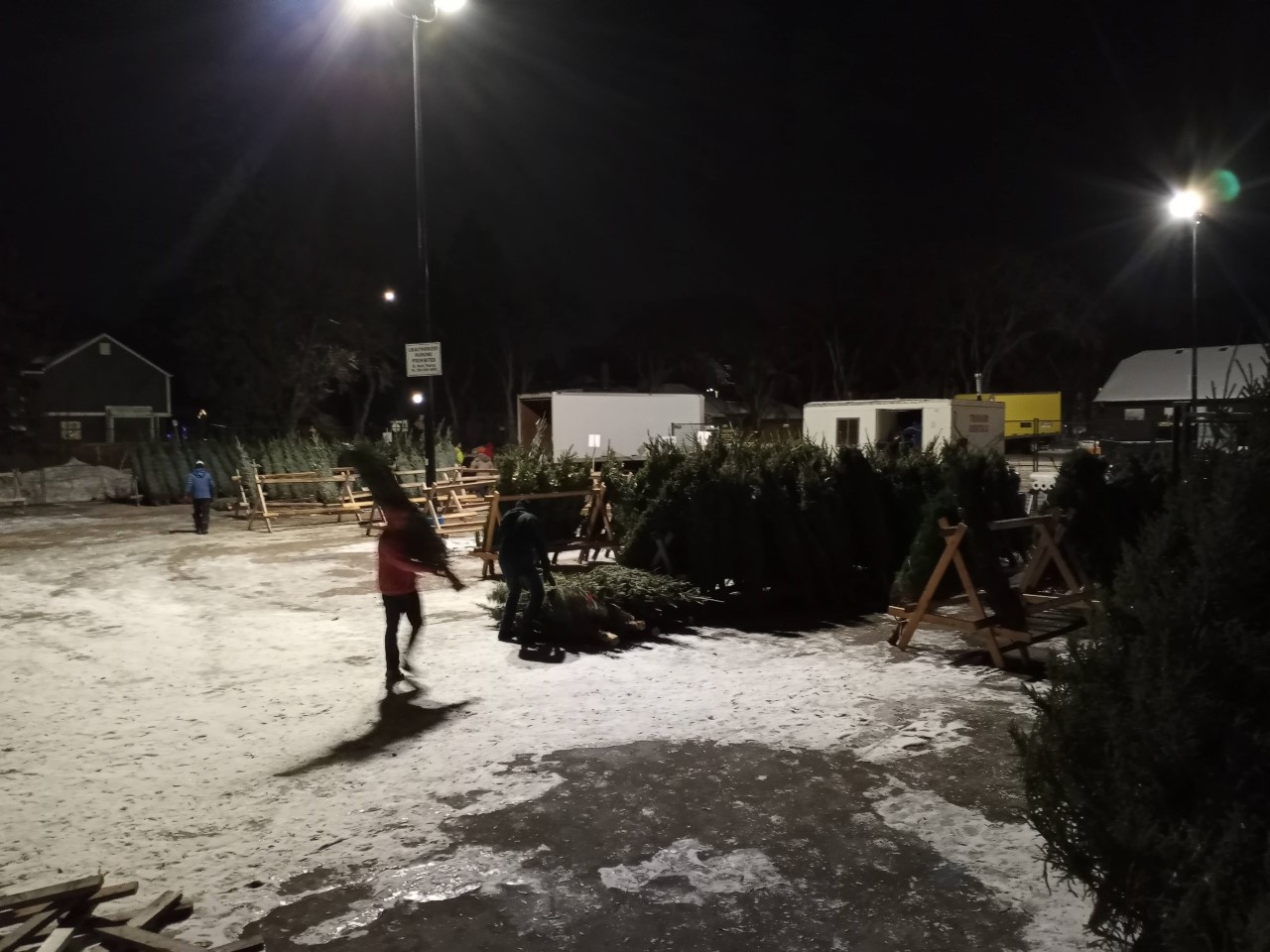 Where and how to recycle your Christmas tree in Winnipeg Classic107